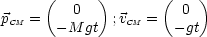       (  0  )       (  0 )
pCM =  -M  gt  ;vCM =   -gt
