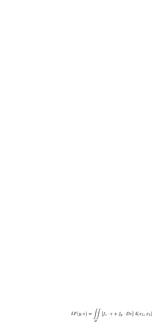           integral  integral 
dF(y;v) =   [fz .v +fp .Dv] d(x1,x2)

         D
