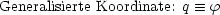 Generalisierte Koordinate: q  =_  f
