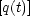 [q(t)]