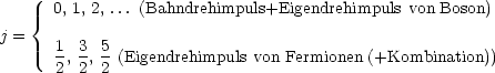     {  0, 1, 2, ... (Bahndrehimpuls+Eigendrehimpuls von Boson)
j =
       1, 3 , 5 (Eigendrehimpuls von Fermionen (+Kombination))
       2 2  2
                                                                  

                                                                  
