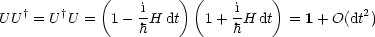              (    i    )(     i    )
U U† = U†U =   1- hH dt   1 + hH dt  = 1+ O(dt2)

