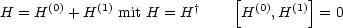                              [        ]
H = H(0) + H(1) mit H = H †   H(0),H(1)  = 0
