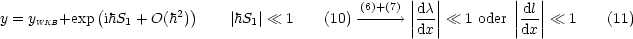             (           )                    (6)+(7) ||dc ||         ||dl||
y = yWKB+exp ihS1 + O(h2)    |hS1| 1    (10) ---- --->  ||dx-|| 1 oder ||dx-|| 1    (11)
