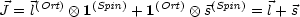 J = l(Ort)  ox  1(Spin) + 1(Ort)  ox  s(Spin) = l+ s
