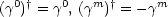   0 †   0   m †     m
(g ) = g , (g ) = -g
