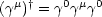 (gm)† = g0gmg0
